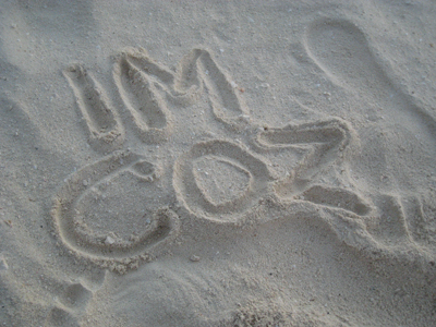 imcoz_z9_343