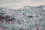 p_swim_08